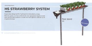 Strawberry System Gutter